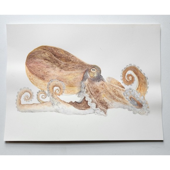 Octopus Watercolor Painting Original 9x12 Handmade Watercolor Paper - Picture 2 of 5